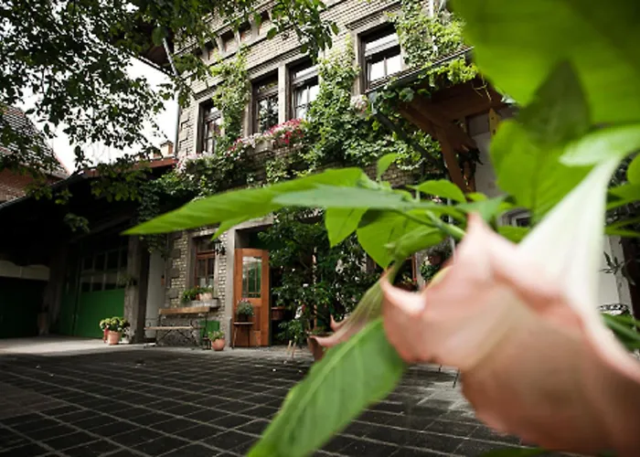 Gaestehaus * Guntersblum