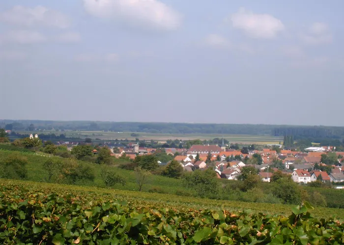 Apartamento Gaestehaus Guntersblum